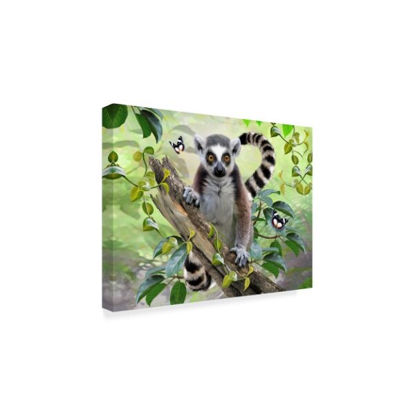 Howard Robinson 'Jungle Lemur' Canvas Art,18x24